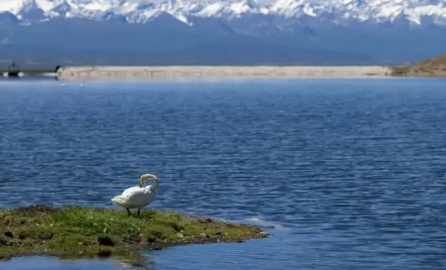 bitpie钱包市场分析工具的使用技巧，帮助用户在复杂市场中作出明智决策。_bitpie钱包市场分析工具的使用技巧，帮助用户在复杂市场中作出明智决策。_钱包的市场规模