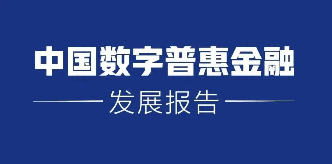 数字普惠金融的发展与中国实践_数字普惠金融的未来展望_理解数字货币在金融普惠中的作用：提升经济参与度与机会均等